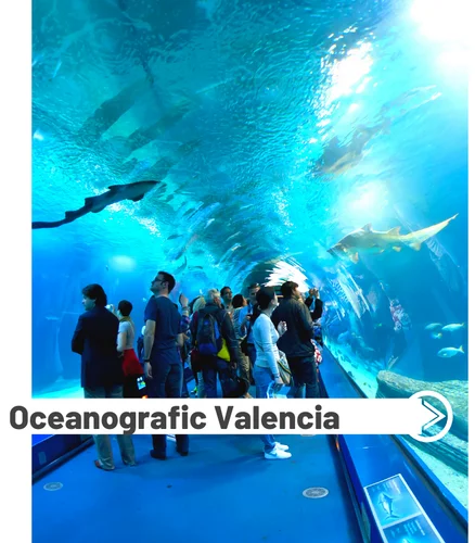 ausflug-tipp-costa-blanca-oceanografic-valencia