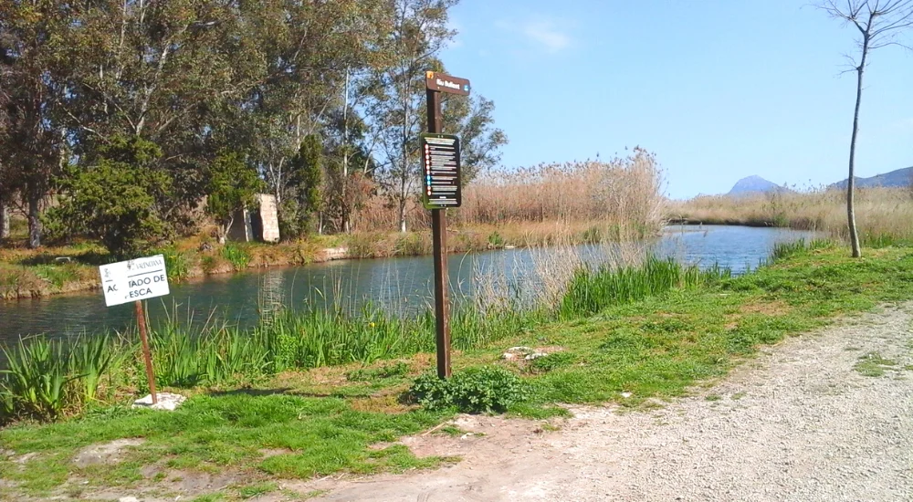 ausflugsziel-costa-blanca-naturpark-marjal