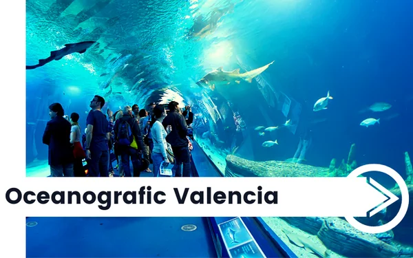 oceanografic-valencia-europas-groesste-aquarium