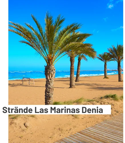 strände in denia las marinas Strand in Denia mit feinem Sand und Palmen