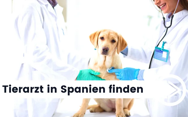 tierarzt-spanien-deutsch