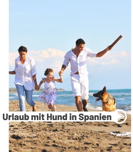 urlaub-mit-hund-in-spanien