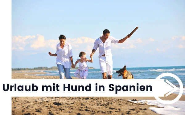Urlaub mit Hund in Spanien