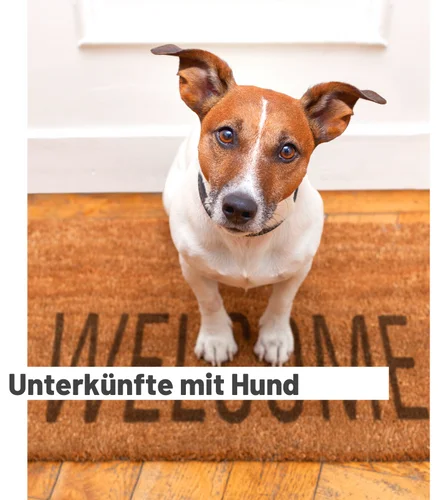 urlaub-mit-hund-spanien-ferienhaus-ferienwohnung