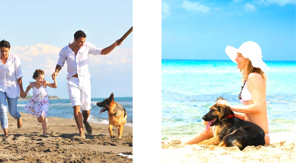 urlaub-mit-hund
